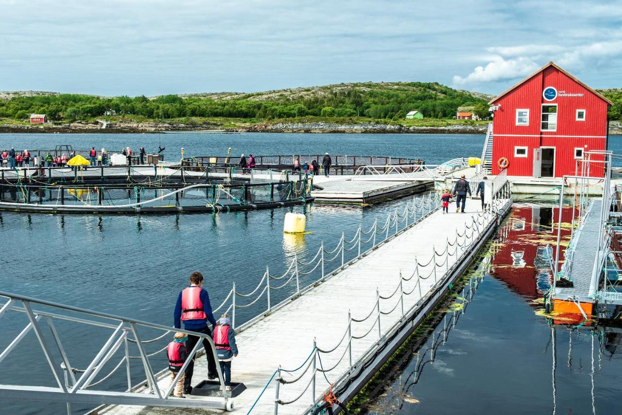 Hotel Norsk Havbrukssenter - Rorbuer Bronnoysund Zewnętrze zdjęcie
