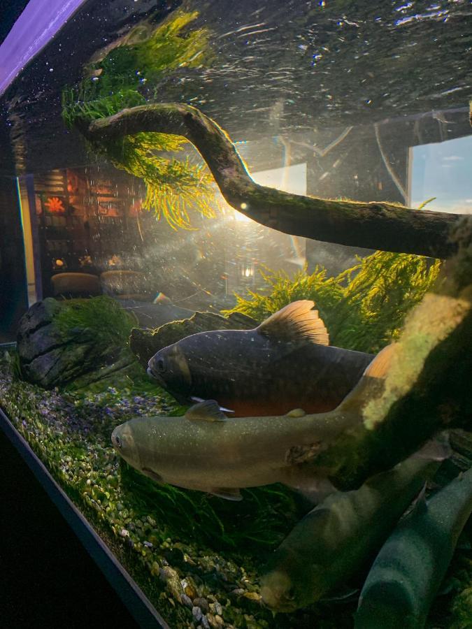 Hotel Norsk Havbrukssenter - Rorbuer Bronnoysund Zewnętrze zdjęcie