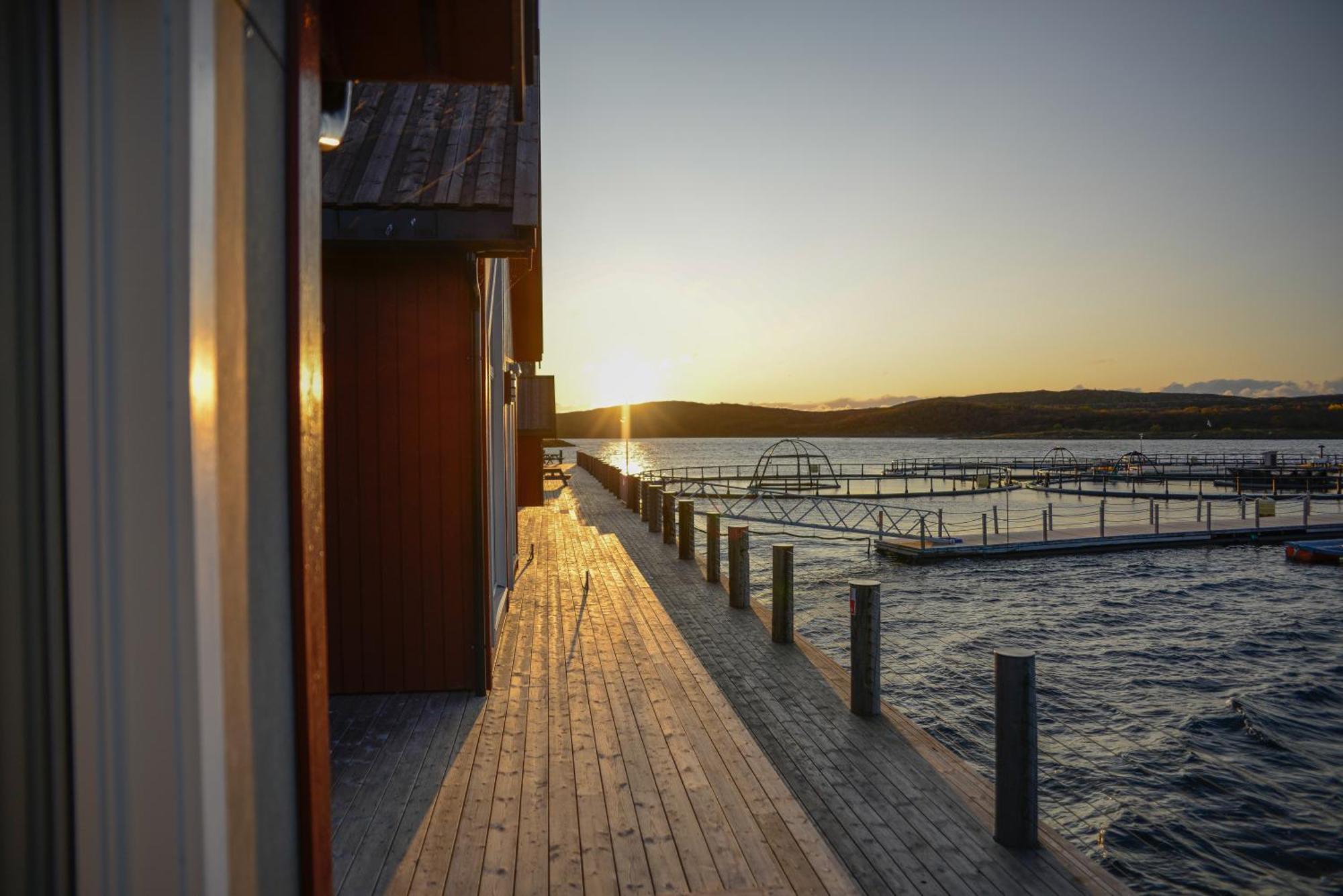 Hotel Norsk Havbrukssenter - Rorbuer Bronnoysund Zewnętrze zdjęcie